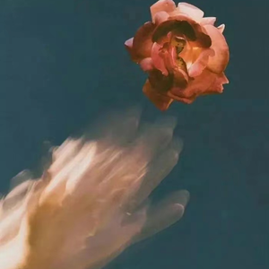 中国暴后菊视频全过程
